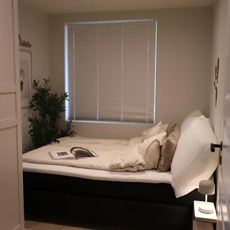 Modern Within Walking Distance To The Town *